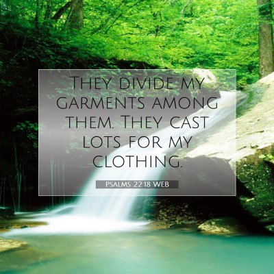 Picture 07 - Psalms 22:18 WEB - They divide my garments among them. They cast - Bible Verse Picture