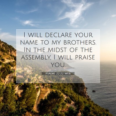 Picture 07 - Psalms 22:22 WEB - I will declare your name to my brothers. In the - Bible Verse Picture