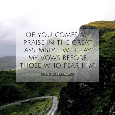 Picture 07 - Psalms 22:25 WEB - Of you comes my praise in the great assembly. I - Bible Verse Picture