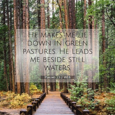 Picture 07 - Psalms 23:2 WEB - He makes me lie down in green pastures. He leads - Bible Verse Picture