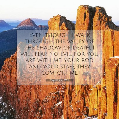 Picture 07 - Psalms 23:4 WEB - Even though I walk through the valley of the - Bible Verse Picture