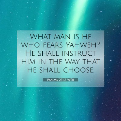 Picture 07 - Psalms 25:12 WEB - What man is he who fears Yahweh? He shall - Bible Verse Picture
