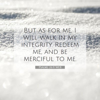 Picture 07 - Psalms 26:11 WEB - But as for me, I will walk in my integrity. - Bible Verse Picture