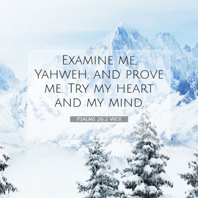 Picture 07 - Psalms 26:2 WEB - Examine me, Yahweh, and prove me. Try my heart - Bible Verse Picture