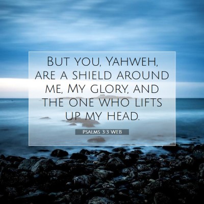 Picture 07 - Psalms 3:3 WEB - But you, Yahweh, are a shield around me, My - Bible Verse Picture
