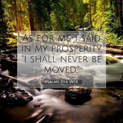 Picture 07 - Psalms 30:6 WEB - As for me, I said in my prosperity, 