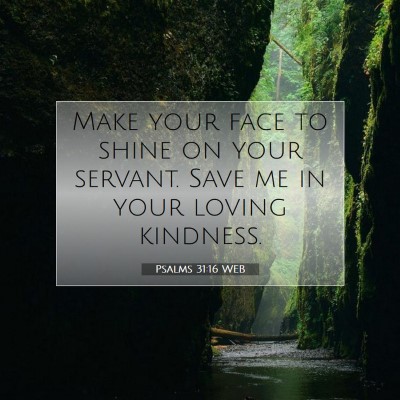 Picture 07 - Psalms 31:16 WEB - Make your face to shine on your servant. Save me - Bible Verse Picture