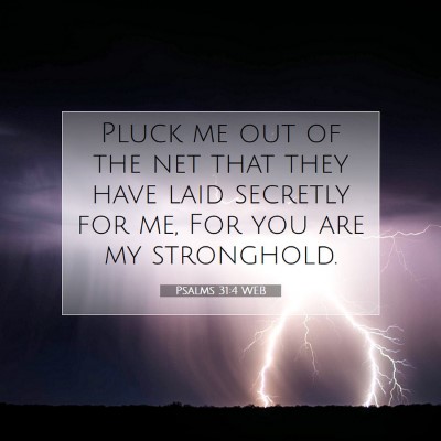 Picture 07 - Psalms 31:4 WEB - Pluck me out of the net that they have laid - Bible Verse Picture