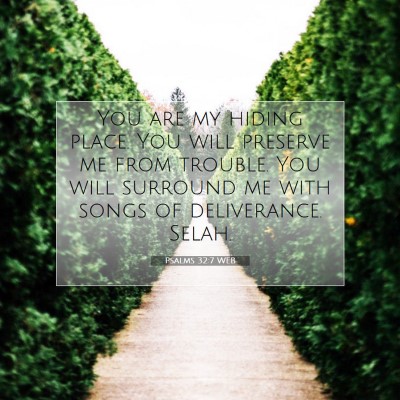 Picture 07 - Psalms 32:7 WEB - You are my hiding place. You will preserve me - Bible Verse Picture