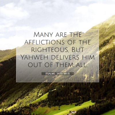 Picture 07 - Psalms 34:19 WEB - Many are the afflictions of the righteous, But - Bible Verse Picture