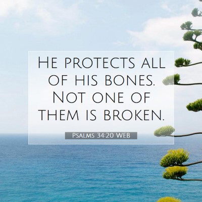 Picture 07 - Psalms 34:20 WEB - He protects all of his bones. Not one of them is - Bible Verse Picture