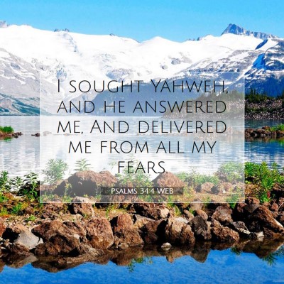 Picture 07 - Psalms 34:4 WEB - I sought Yahweh, and he answered me, And - Bible Verse Picture