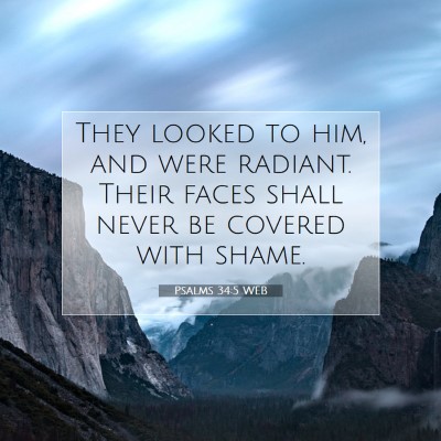 Picture 07 - Psalms 34:5 WEB - They looked to him, and were radiant. Their faces - Bible Verse Picture