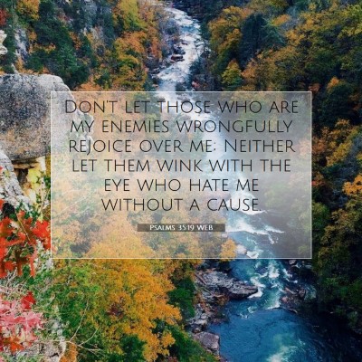 Picture 07 - Psalms 35:19 WEB - Don't let those who are my enemies wrongfully - Bible Verse Picture