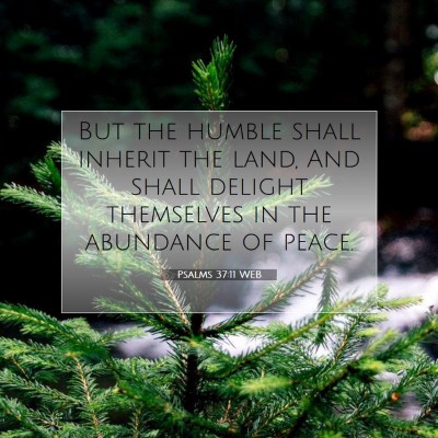 Picture 07 - Psalms 37:11 WEB - But the humble shall inherit the land, And shall - Bible Verse Picture