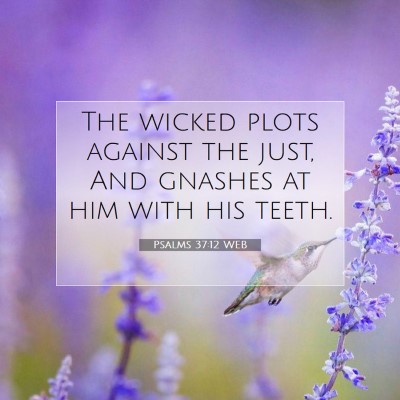 Picture 07 - Psalms 37:12 WEB - The wicked plots against the just, And gnashes at - Bible Verse Picture