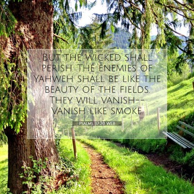 Picture 07 - Psalms 37:20 WEB - But the wicked shall perish. The enemies of - Bible Verse Picture