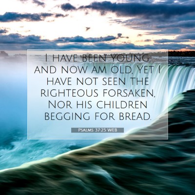 Picture 07 - Psalms 37:25 WEB - I have been young, and now am old, Yet I have not - Bible Verse Picture