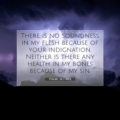 Picture 07 - Psalms 38:3 WEB - There is no soundness in my flesh because of your - Bible Verse Picture