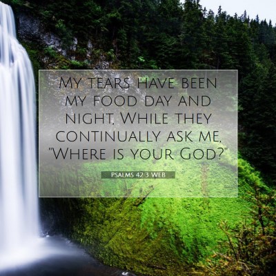 Picture 07 - Psalms 42:3 WEB - My tears have been my food day and night, While - Bible Verse Picture