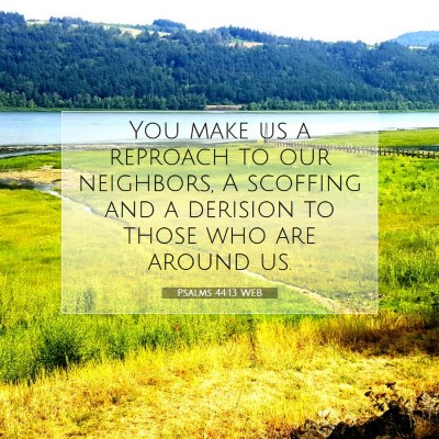 Picture 07 - Psalms 44:13 WEB - You make us a reproach to our neighbors, A - Bible Verse Picture