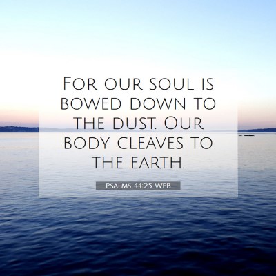 Picture 07 - Psalms 44:25 WEB - For our soul is bowed down to the dust. Our body - Bible Verse Picture