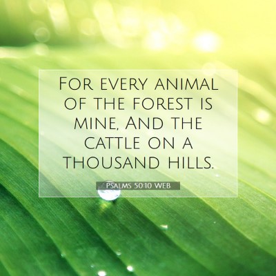 Picture 07 - Psalms 50:10 WEB - For every animal of the forest is mine, And the - Bible Verse Picture