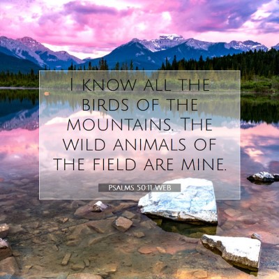 Picture 07 - Psalms 50:11 WEB - I know all the birds of the mountains. The wild - Bible Verse Picture