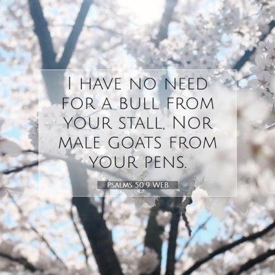 Picture 07 - Psalms 50:9 WEB - I have no need for a bull from your stall, Nor - Bible Verse Picture