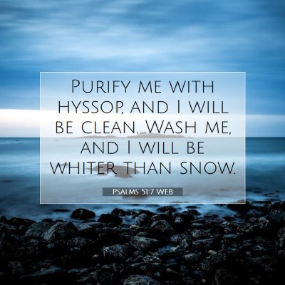Picture 07 - Psalms 51:7 WEB - Purify me with hyssop, and I will be clean. Wash - Bible Verse Picture