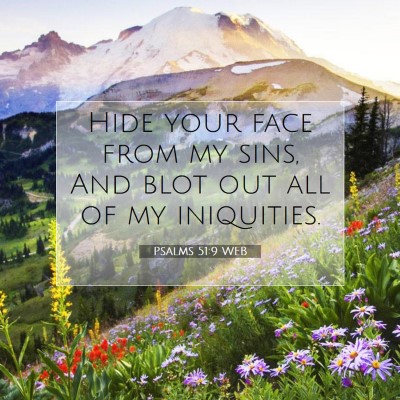 Picture 07 - Psalms 51:9 WEB - Hide your face from my sins, And blot out all of - Bible Verse Picture