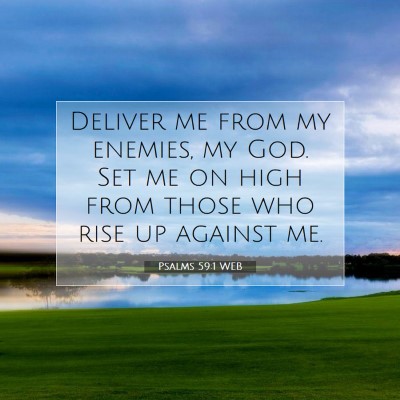Picture 07 - Psalms 59:1 WEB - Deliver me from my enemies, my God. Set me on - Bible Verse Picture