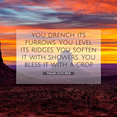 Picture 07 - Psalms 65:10 WEB - You drench its furrows. You level its ridges. You - Bible Verse Picture