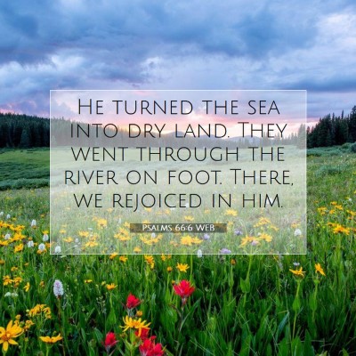 Picture 07 - Psalms 66:6 WEB - He turned the sea into dry land. They went - Bible Verse Picture