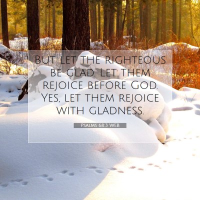 Picture 07 - Psalms 68:3 WEB - But let the righteous be glad. Let them rejoice - Bible Verse Picture