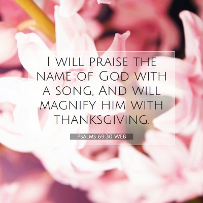 Picture 07 - Psalms 69:30 WEB - I will praise the name of God with a song, And - Bible Verse Picture