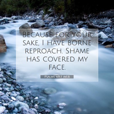 Picture 07 - Psalms 69:7 WEB - Because for your sake, I have borne reproach. - Bible Verse Picture