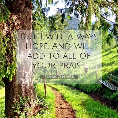 Picture 07 - Psalms 71:14 WEB - But I will always hope, And will add to all of - Bible Verse Picture