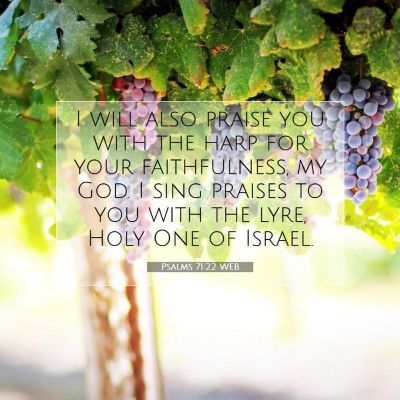 Picture 07 - Psalms 71:22 WEB - I will also praise you with the harp for your - Bible Verse Picture