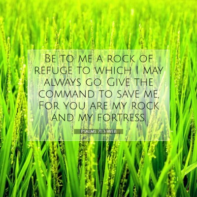Picture 07 - Psalms 71:3 WEB - Be to me a rock of refuge to which I may always - Bible Verse Picture