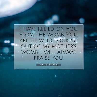 Picture 07 - Psalms 71:6 WEB - I have relied on you from the womb. You are he - Bible Verse Picture