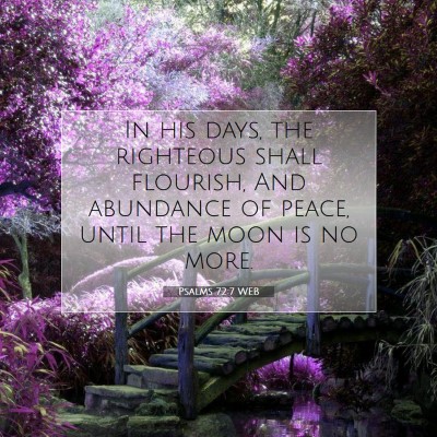 Picture 07 - Psalms 72:7 WEB - In his days, the righteous shall flourish, And - Bible Verse Picture