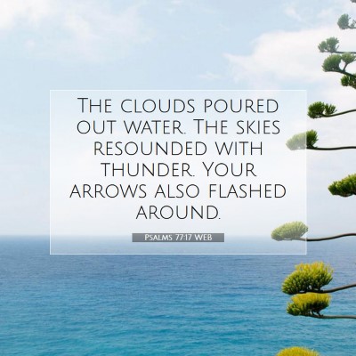 Picture 07 - Psalms 77:17 WEB - The clouds poured out water. The skies resounded - Bible Verse Picture