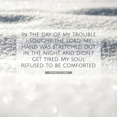 Picture 07 - Psalms 77:2 WEB - In the day of my trouble I sought the Lord. My - Bible Verse Picture