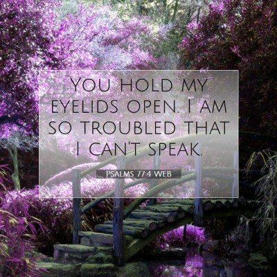 Picture 07 - Psalms 77:4 WEB - You hold my eyelids open. I am so troubled that I - Bible Verse Picture