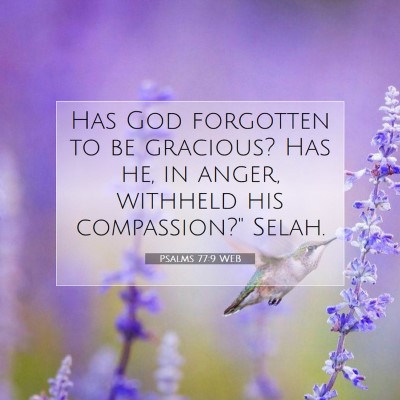 Picture 07 - Psalms 77:9 WEB - Has God forgotten to be gracious? Has he, in - Bible Verse Picture