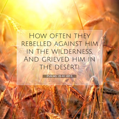 Picture 07 - Psalms 78:40 WEB - How often they rebelled against him in the - Bible Verse Picture