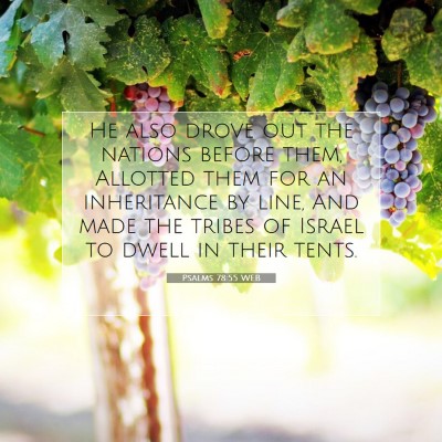 Picture 07 - Psalms 78:55 WEB - He also drove out the nations before them, - Bible Verse Picture