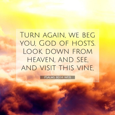 Picture 07 - Psalms 80:14 WEB - Turn again, we beg you, God of hosts. Look down - Bible Verse Picture