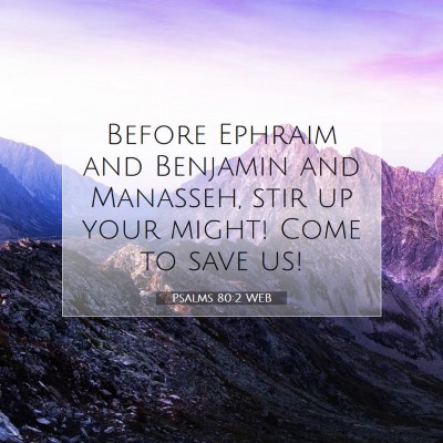 Picture 07 - Psalms 80:2 WEB - Before Ephraim and Benjamin and Manasseh, stir up - Bible Verse Picture